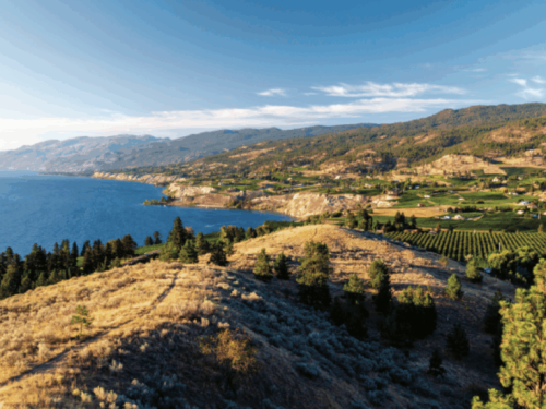 Screenshot 2025-05-08 at 2.11.15 PM